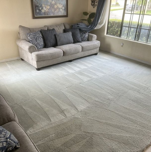 Our Work #6 - Neighborhood Hero Carpet and Couch Cleaning