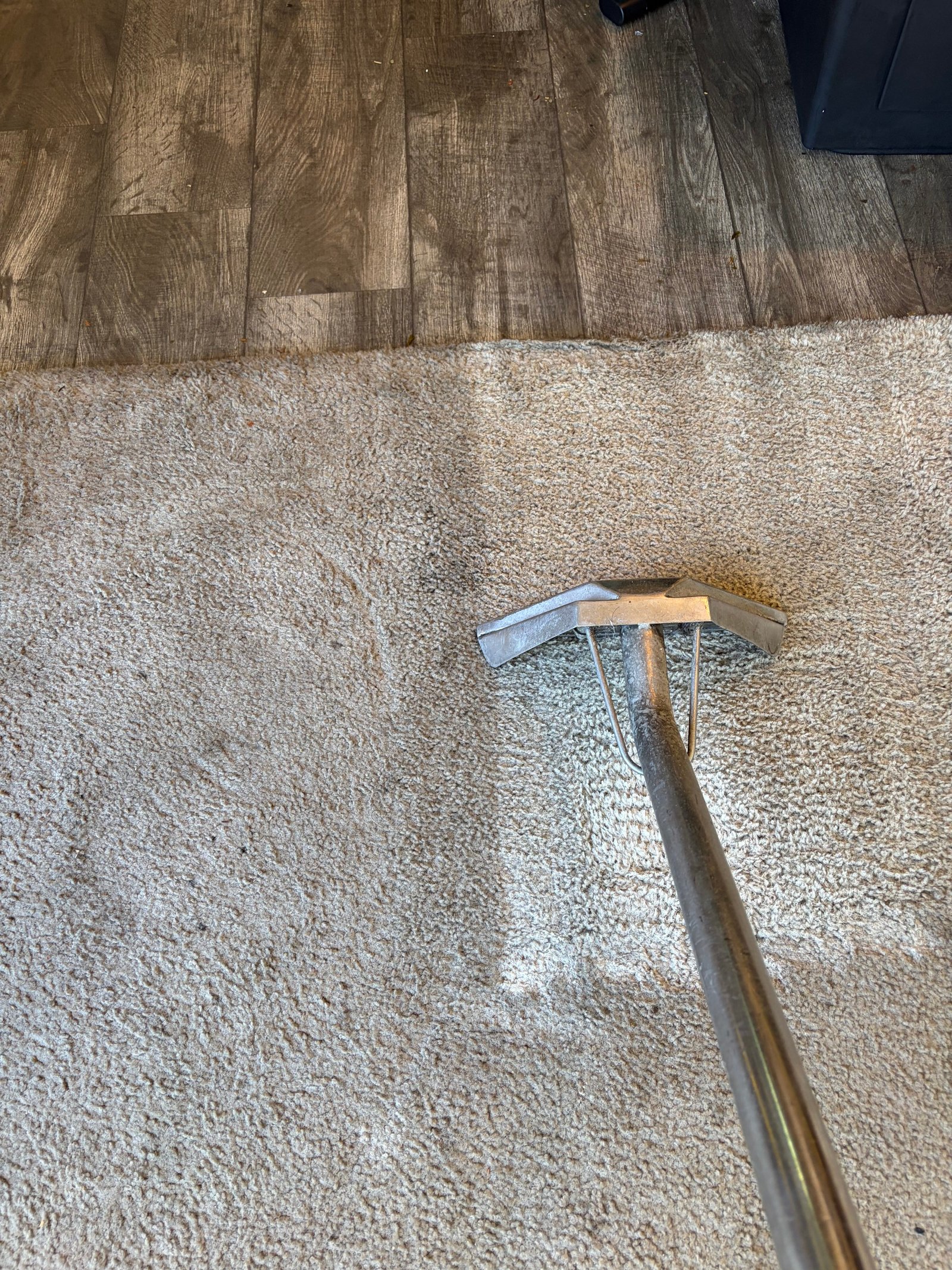 Neighborhood-Hero-Cleaning-work-image-19